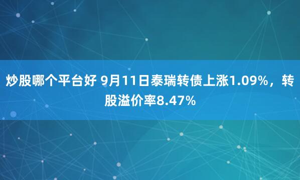 炒股哪个平台好 9月11日泰瑞转债上涨1.09%，转股溢价率8.47%