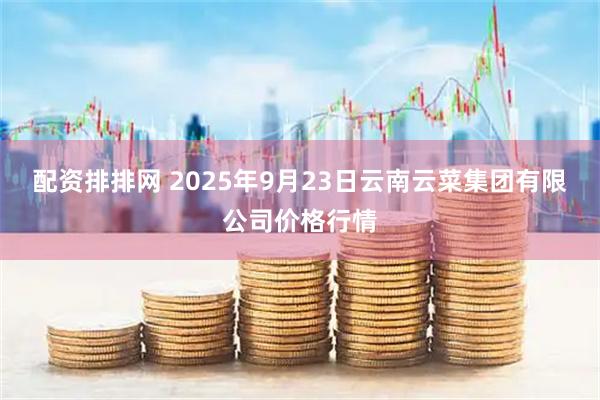 配资排排网 2025年9月23日云南云菜集团有限公司价格行情