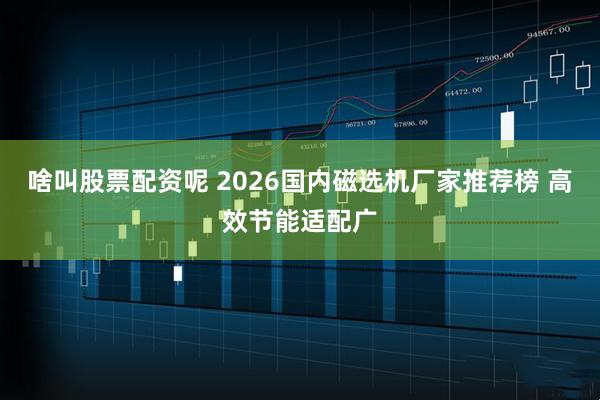 啥叫股票配资呢 2026国内磁选机厂家推荐榜 高效节能适配广